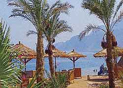 ,  ,  Hilton Dahab Resort