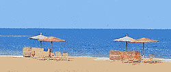    , ,  , El Quseir - Marsa Alam,  Shams Alam Resort