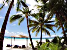 ����� ����� Red Coconut Beach Resort