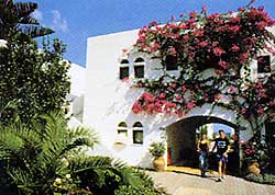 Crete, ������ ����, ������� ������, ����� Vantaris Beach