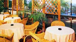 ������ �������. ������. ����� Garden. ��������
