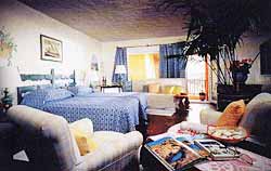 ������. ��������. ����� Sheraton Cervo. �����