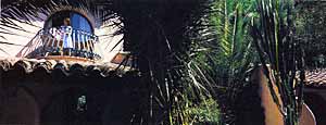 ������. ��������. ����� le Palm