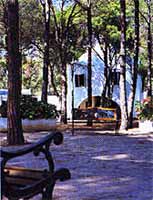 ������. ��������. ����� Mare Pineta. �����