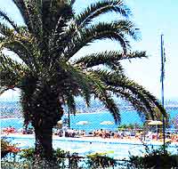 ������. �������. ����� Citta Del Mare