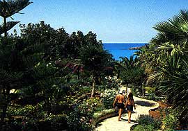 ������ -  ���-���� �� �����, �����  �����  Nissi Beach Holiday Resort, ����, ������������ ������