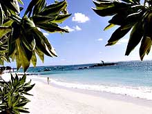 ���� ��� ����� Belle Mare Plage The Resort