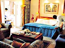 ���������� � ����� Royal Palm