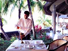 ����� � ����� Royal Palm. ��������