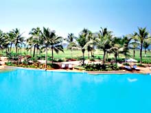 ����� � ����� Taj Exotica Bentonta. �������
