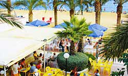 ����� �������. ����� Royal Sun
