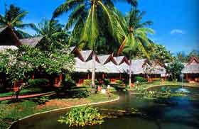 ��������� ������, ������������, �����, Hotel Clab Andaman Beach, ���������, ����, ����� � ��������, ������, Phuket, ����
