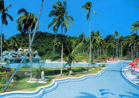 �����, ���������, ����, ����������, ��������� ������, ������������, ������, Phuket, ����� � ��������, Hotel Duangjitt Resort, ����