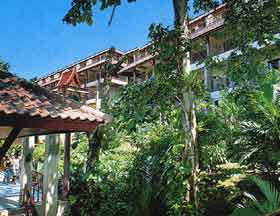 �����, ���������, Hotel Tropical Garden, ����, ����������, ��������� ������, ������������, ������, Phuket, ����� � ��������,  ����