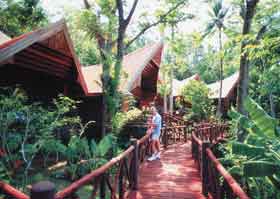 �����, ���������, ����, Hotel Marina Gottage, ����������, ��������� ������, ������������, ������, Phuket, ����� � ��������,  ����