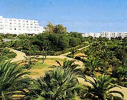 ����� Maqic Life Club Manar ����� � ������