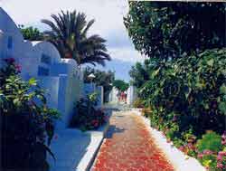 ����� Samira Club. ����� � ������. ��������.