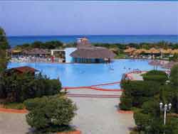 ����� Magic life Mahdia Classic  ����� �� ������� ������