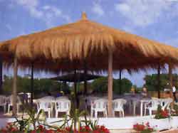 ����� Magic life Mahdia Classic  ����� �� ������� ������