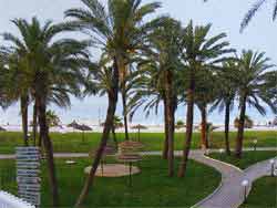 ����� Marhaba El Hana Beach. �����. ����� ����
