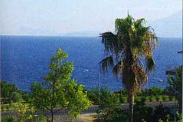 ������, ������� ������, �����  Laguna City