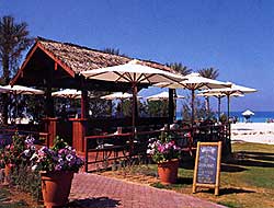 ����� Oasis Beach Hotel ����� � ������������ �������� �������� ������ �����