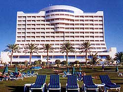 ����� Oasis Beach Hotel ����� � ������������ �������� �������� ������ �����